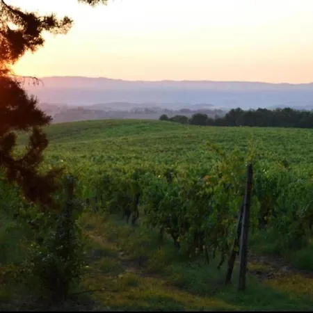 Montana Escape, Tuscan Prázdninový dům *